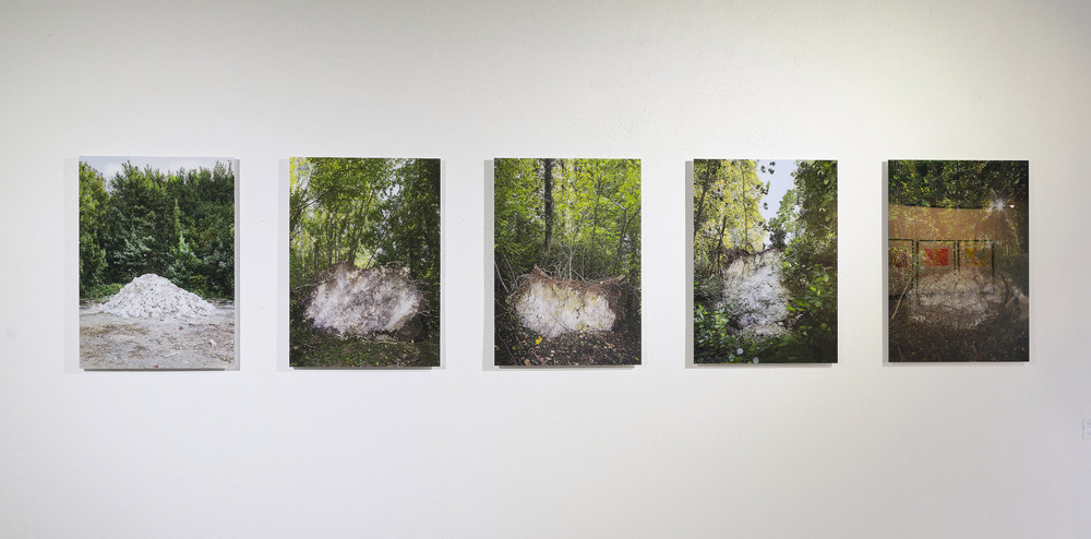 aygueler if a tree falls in a forest goenner 01831 web